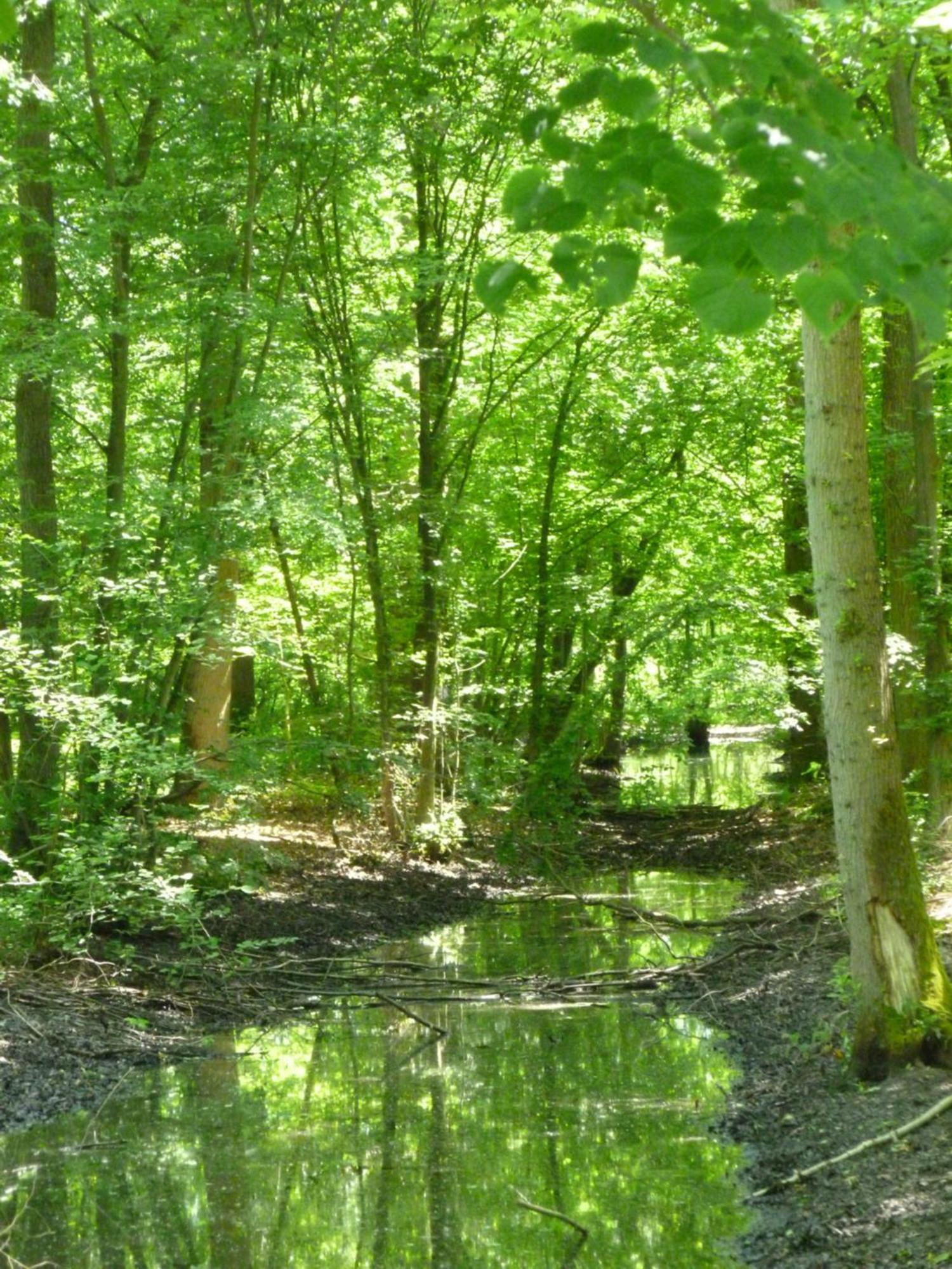 Le Chalet De La Longere Beuvry-la-Foret Εξωτερικό φωτογραφία